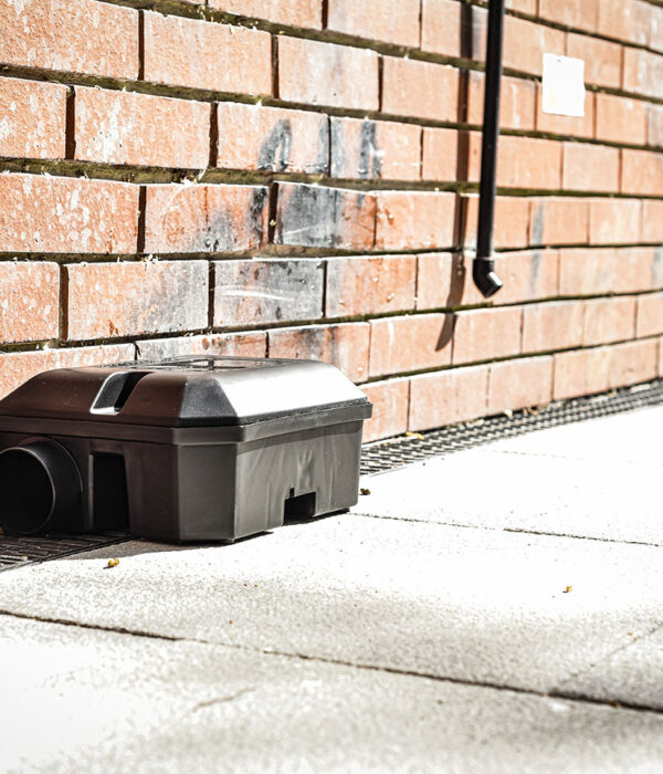 derattizzazione roma