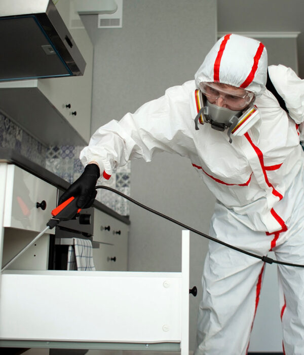 disinfestazione derattizzazione milano