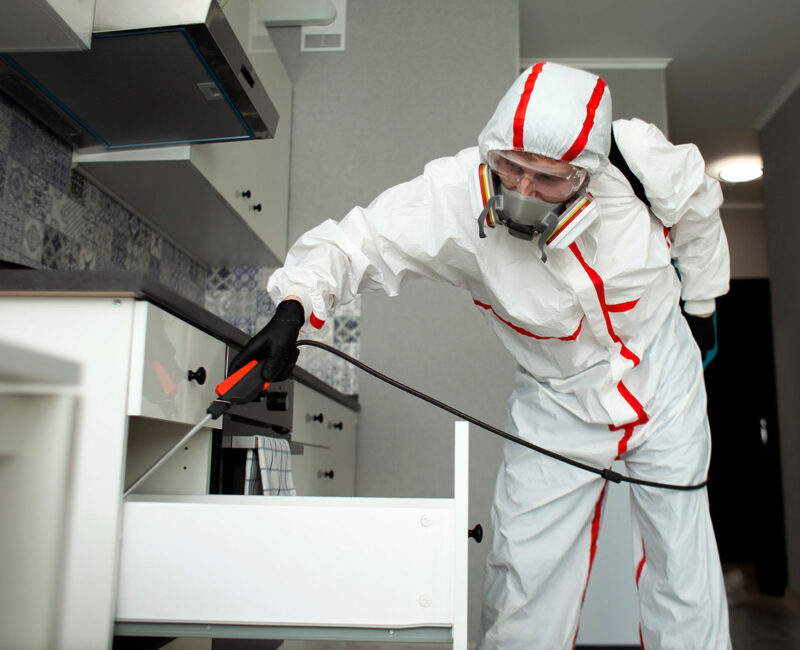 disinfestazione derattizzazione milano